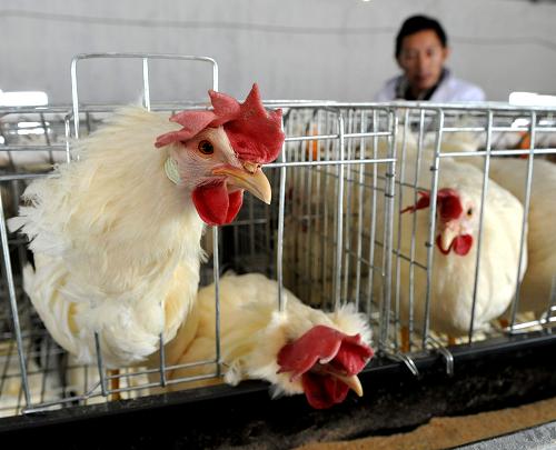 ����1��7���������տ�������ľ������ľ������ؼ���ֳ��������Ļ���