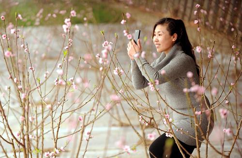 �ӱ����壺���Ҵ����һ�ʢ��