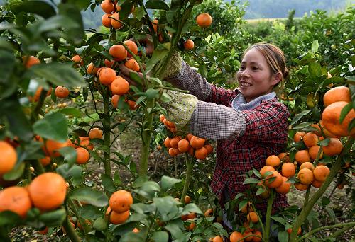 ʡº徰ââĴũڲժɰ٣114㣩