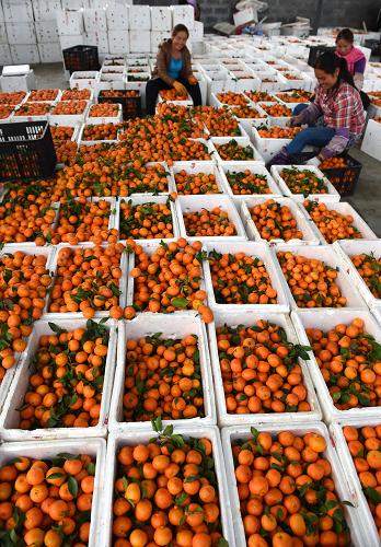 ʡº徰ââһЩũڽɰװ䣬׼Ӧг114㣩