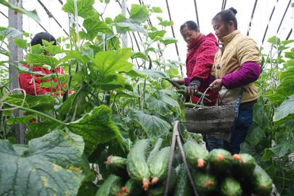 ���ո������������߲˲�������