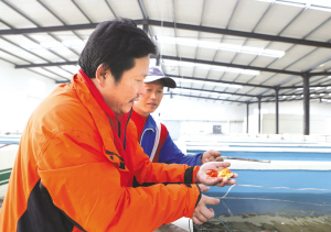 天津市西青区引进高层次人才 淡水养殖能人陈成勋为渔民提供良种