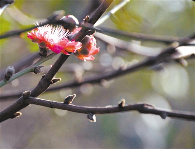 㶫֡һˡΪȫʡã ֲ㽲һ