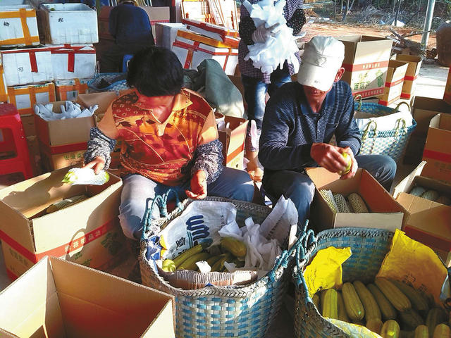 �������������������ɡ�����«�����ϡ������ۡ�