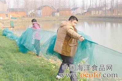 ������ֳ���ڶ�з������Χ���ӹ̣�����з��Ͷ��ǰ�ڹ���