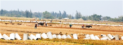 ���ϣ������� ������