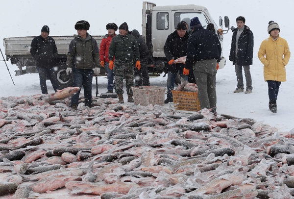 2015121գ½ɹݲز˹ںڷƷ׼װ