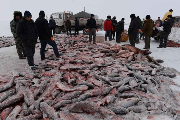 2015121գ½ɹݲز˹ںڷƷ׼װ