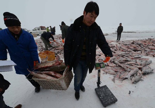 2015121գ½ɹݲز˹ںֳۡ