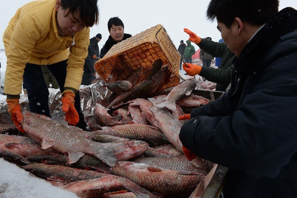 2015121գ½ɹݲز˹ںæµĽƷװ