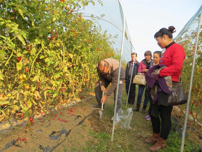 ���������ؼ�ǿ����ũ��Ʒ����