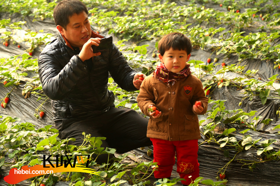 ������԰��