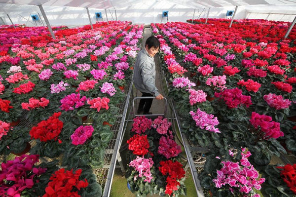 ɽ����̨��ӭ������½������