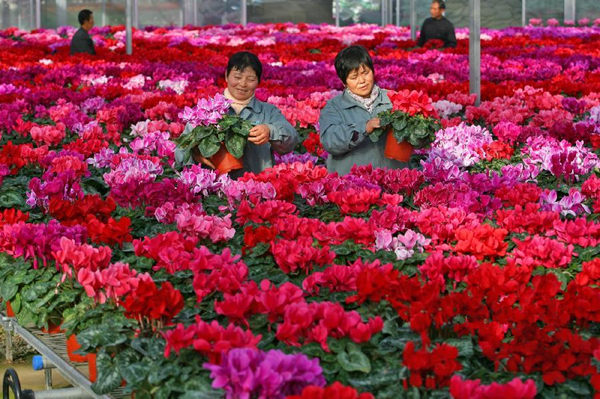 1��22�գ�԰�ֹ�����������Ϊ�������еĻ���ժ����Ҷ��