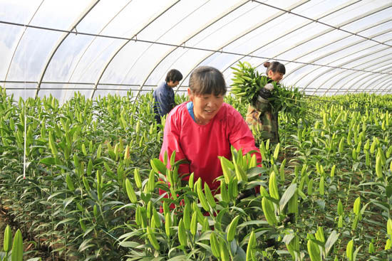 �ӱ������ź���ٺ�ʢ ���ϴ������л���Ʈ������