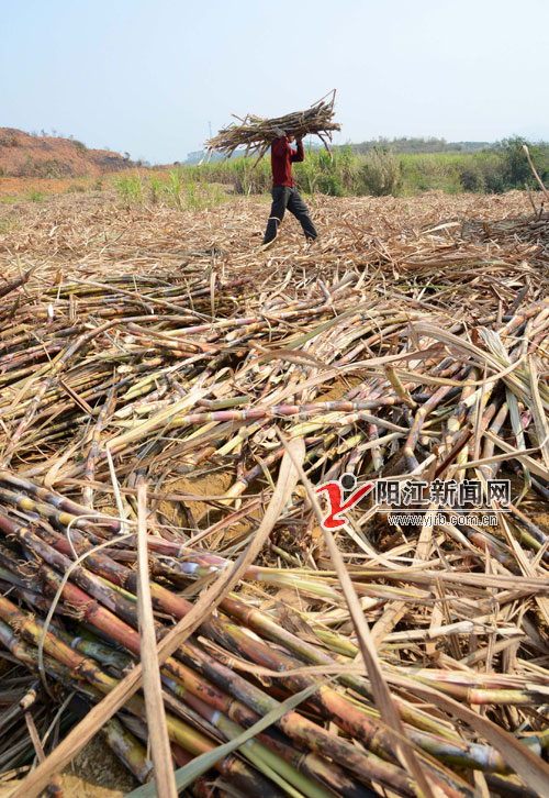 㶫кˮǳեɷũ 6ָἱѰ·