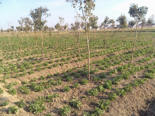 ���պ����ع��Ҽ���������չ���¾��ó�Ч����