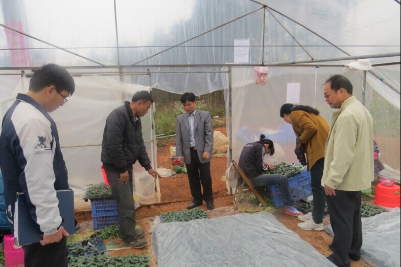 ���������ؼ�ǿ�����ϼ޽����糡�ļ�ܹ���