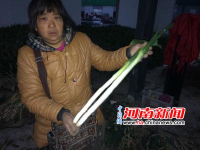 äĿ������ģ��ֲ ���ϴ�ũ600���������