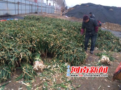 ��ֲ������ʱ������ȫ·�ϵĴ�����۵㡣