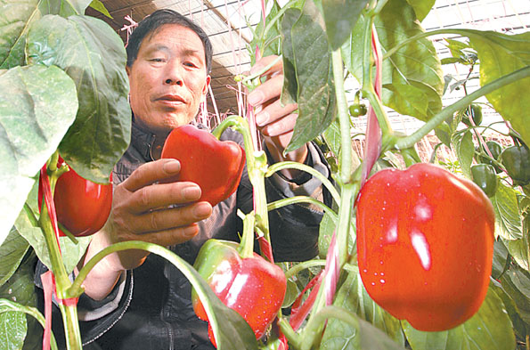 �ӱ���ˮ�����������������ץ��ũҵ��ҵ��Ŀ����