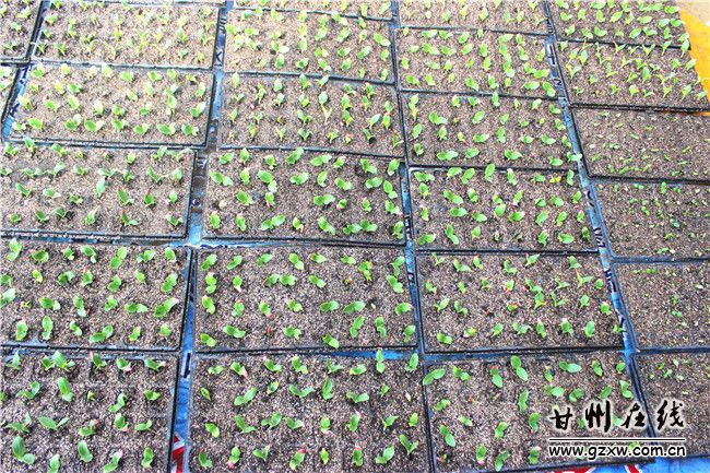 ������Ҵ�������������������ġ���ʩũҵ�ġ������֡�