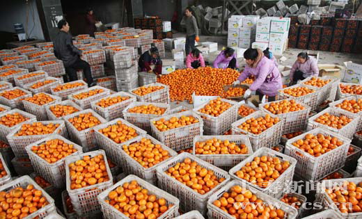 ���쳤���������������������