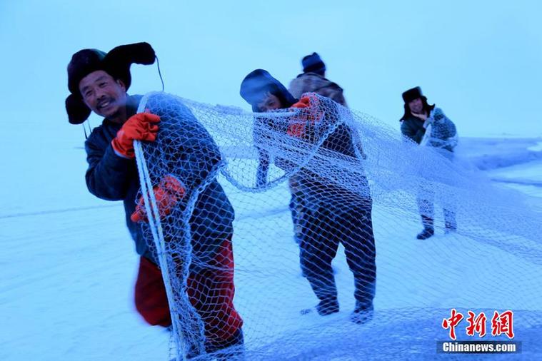 图为新疆博斯腾湖的捕鱼者们开始为拉网捕鱼作业做准备