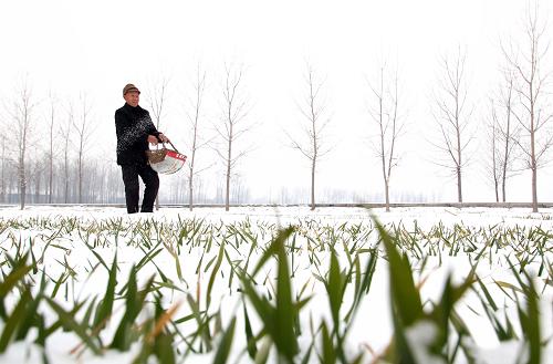 ɽ��۰���أ���ѩ����ʩ��æ