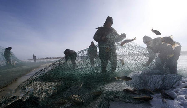 ���ɹ����񶬲��ֳ� �������������������