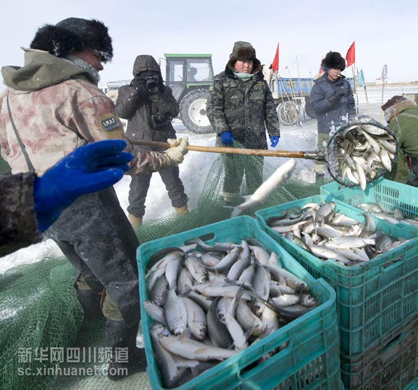 1��28�գ����ɹſ�ʲ���������ŵ�����������ڶ�����