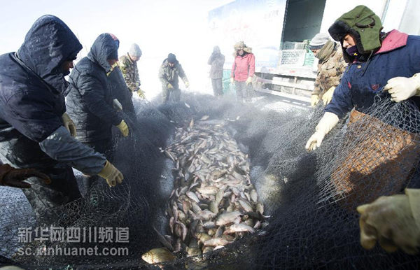 1��28�գ����ɹſ�ʲ���������ŵ�����������ڶ�����