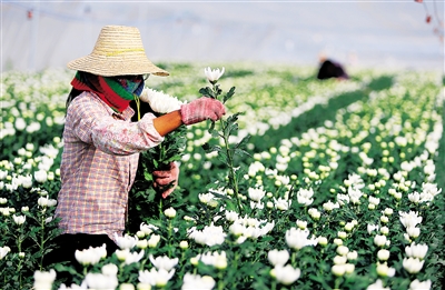 ���϶�����ũ���ŷ�չ