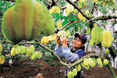 ���ϣ��������ҷ��� ��ũ��Ѱ��·