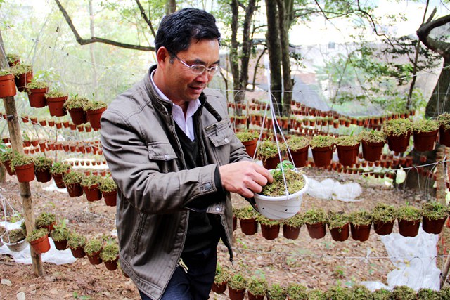 ������������ƺ������ɫũҵ��չģʽ