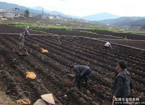 ���������ؼ�����Ա���������������������ʾ��