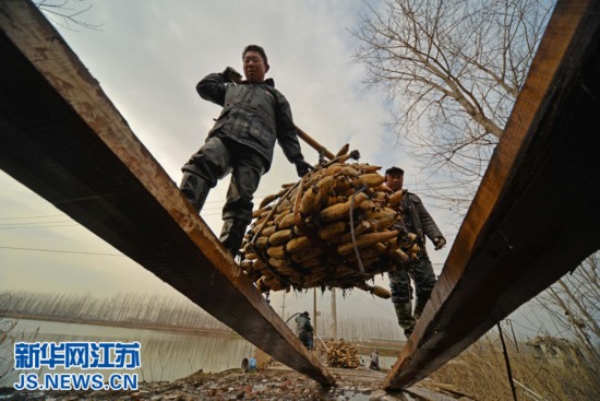 131գպũ񽫸ջź̧䳵