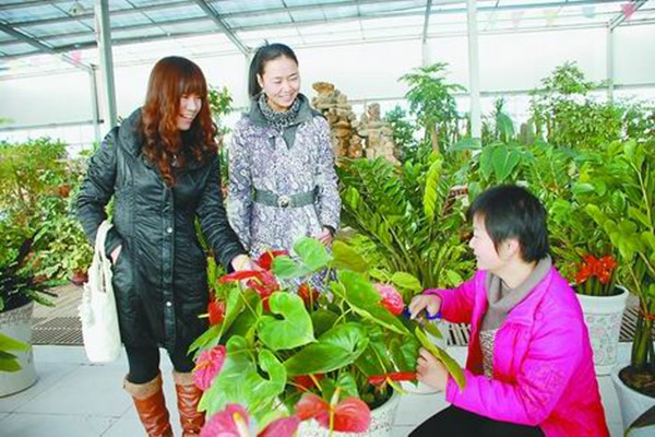 �˿�ѡ������