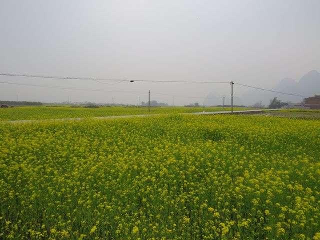 �������ݣ������Ȼ������� �Ͳ�����������