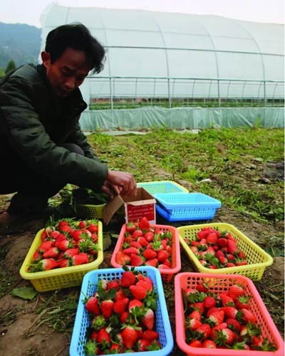 ĴͳǶݮۡ һŲݮԼ2Ԫ