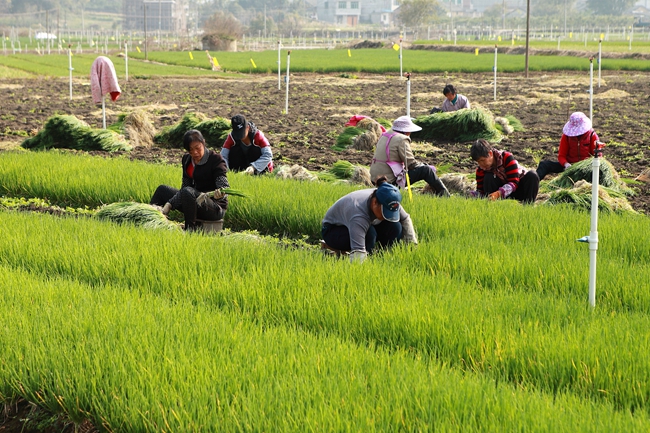 ���������أ�������Ķ�� ����ܷḻ