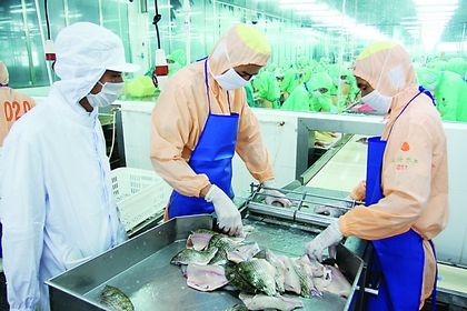 2014年广东汕头市水产品出口总额破8亿美元