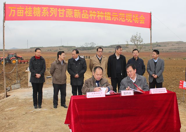 �������������ٿ���Ķ����ϵ�и�����Ʒ����ֲʾ���ֳ���