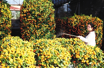 ���ϣ��´��ٽ� �������