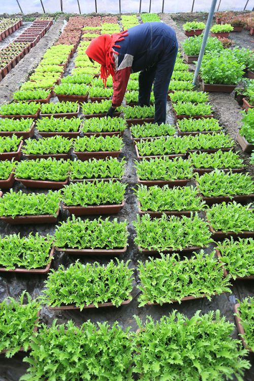 22գɽī߼ֲũڴ۲ˡ