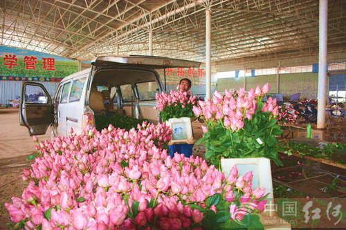 ���������ظ�ԭ��ɫ���ܲ�ҵ��ʾ����Ŀ��չ˳��