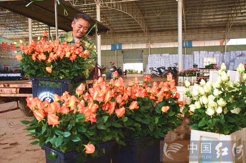 ���������ظ�ԭ��ɫ���ܲ�ҵ��ʾ����Ŀ��չ˳��