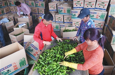 ���϶����أ����������¹��� ũ��Ǯ��������