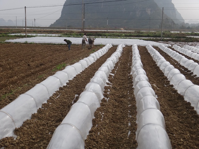 ��������������ϲ���ֲ�߳�