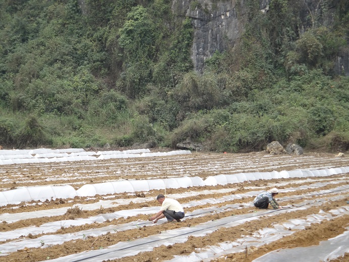 ͼΪ��ũ����������